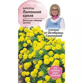 Бархатцы семена ОКТЯБРИНА ГАНИЧКИНА