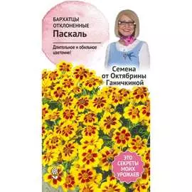 Бархатцы семена ОКТЯБРИНА ГАНИЧКИНА Паскаль 118850