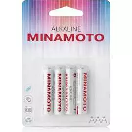 Батарейка MINAMOTO 4020