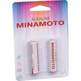 Батарейка MINAMOTO 302