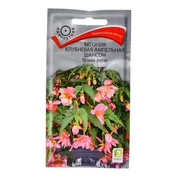 Бегония клубневая ампельная Агрохолдинг ПОИСК Шансон Розово-белая 160801