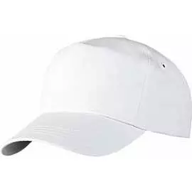 Бейсболка Факел