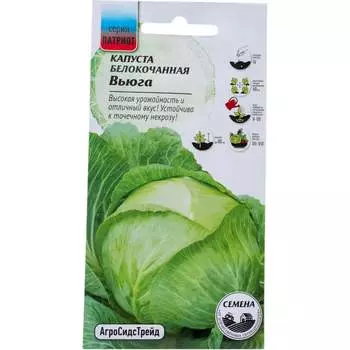 Белокочанная капуста Агросидстрейд Вьюга ПАТРИОТ 129131