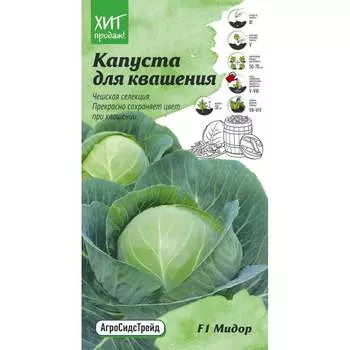 Белокочанная капуста капуста для квашения Агросидстрейд