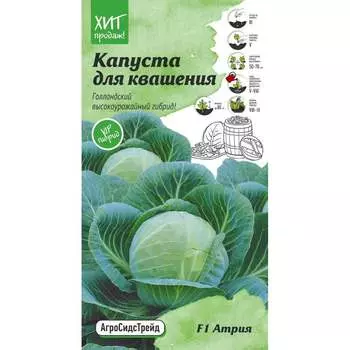 Белокочанная капуста капуста для квашения Агросидстрейд Атрия F1 АСТ 121329