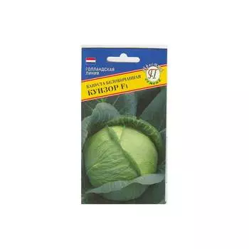 Белокочанная капуста капуста Престиж-Семена Куизор F1 00015506