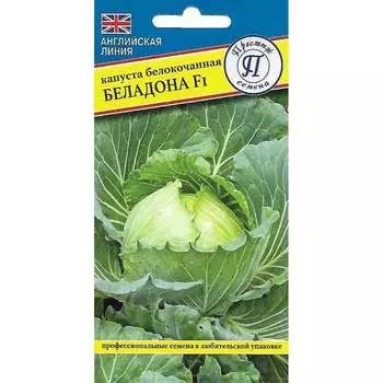 Белокочанная капуста капуста Престиж-Семена Беладона F1 00030051