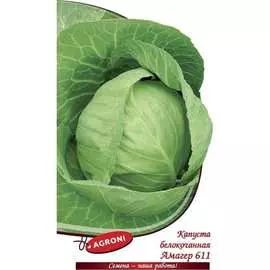 Белокочанная капуста капуста Агрони АМАГЕР 611 7385