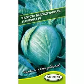 Белокочанная капуста капуста Агрони КАМЕНКА F1 3981