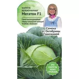 Белокочанная капуста капуста ОКТЯБРИНА ГАНИЧКИНА
