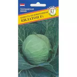 Белокочанная капуста капуста Престиж-Семена Килатон F1 00026979