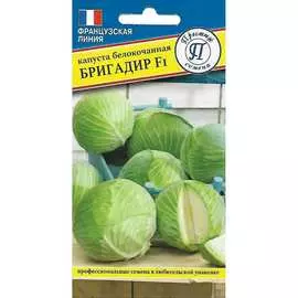 Белокочанная капуста капуста Престиж-Семена Бригадир F1 00032133