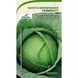 Белокочанная капуста капуста Садовита
