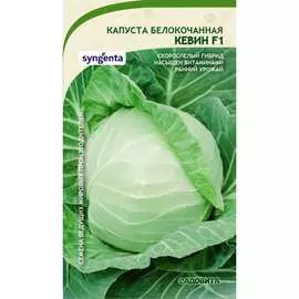 Белокочанная капуста капуста Садовита Кевин F1 00132352