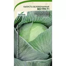 Белокочанная капуста капуста Садовита Вестри F1 00183950