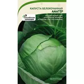 Белокочанная капуста капуста Садовита Амагер 00140063