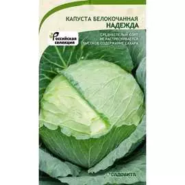 Белокочанная капуста капуста Садовита Надежда 00192738