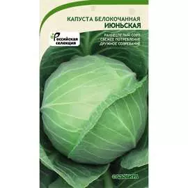 Белокочанная капуста капуста Садовита