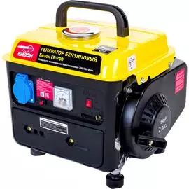 Бензиновый генератор БИЗОН