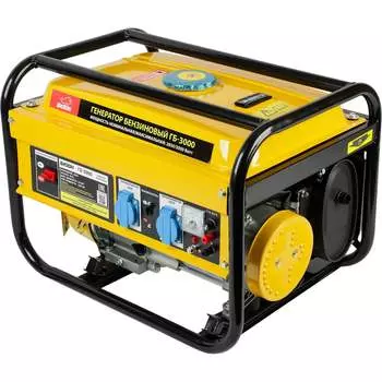 Бензиновый генератор БИЗОН ГБ-3000 4174