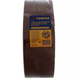 Бесконечная абразивная лента ТУНДРА 1300825