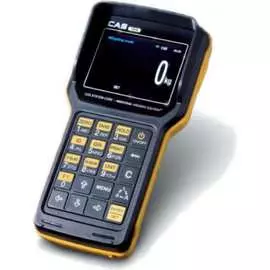 Беспроводное табло CAS TWN CZ0TW4000GCI0501