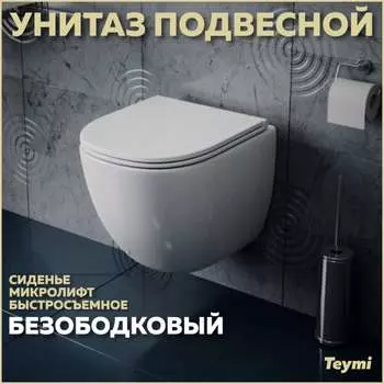 Безободковый подвесной унитаз Teymi Lina S T40102 ЦБ-00260333