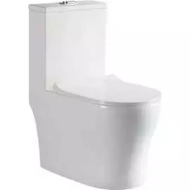 Безободковый унитаз-монолит EVA GOLD