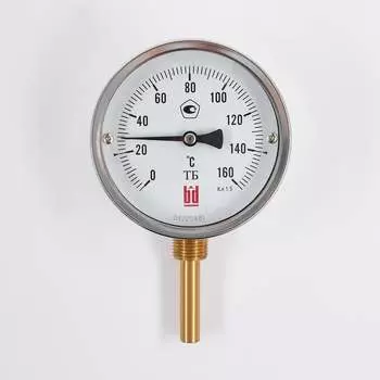 Биметаллический термометр BD ТБ 100Р/100 1161001002