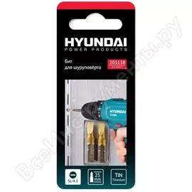 Биты (2 шт; sl0.6х4.5 мм; 25 мм; tin) для шуруповертов 203138