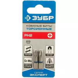 Биты ЗУБР ЭКСПЕРТ 26011-2-25-2
