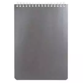 Блокнот BRAUBERG Серебро 111273