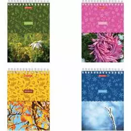 Блокнот BRAUBERG Четыре сезона 129811