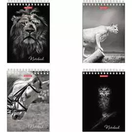 Блокнот BRAUBERG Животные 129810