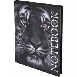 Блокнот BRAUBERG 123244