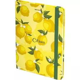 Блокнот BRAUBERG Lemons 113727