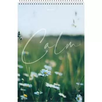 Блокнот BRAUBERG 114357