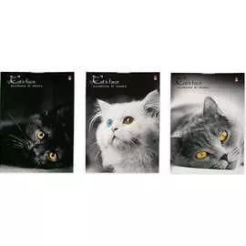 Блокнот Bruno Visconti