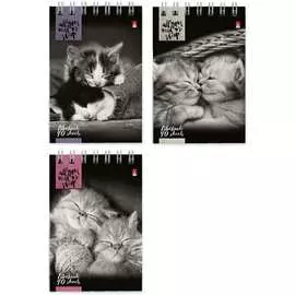 Блокнот Bruno Visconti