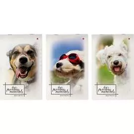 Блокнот Bruno Visconti