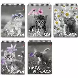 Блокнот Bruno Visconti