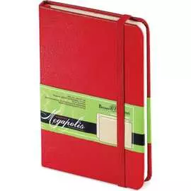 Блокнот Bruno Visconti