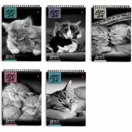 Блокнот Bruno Visconti