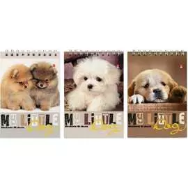 Блокнот Bruno Visconti