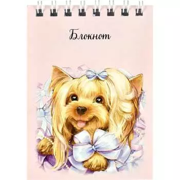 Блокнот Феникс +