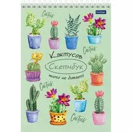 Блокнот Hatber Premium SketchBook 60699