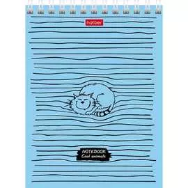 Блокнот Hatber 055480