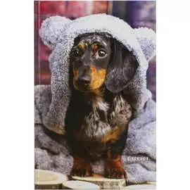 Блокнот Staff