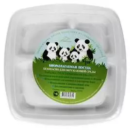 Большая квадратная трехсекционная тарелка Greenmaster