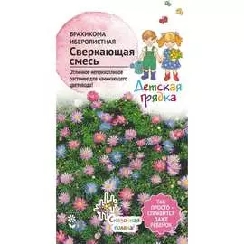 Брахикома иберисолистная семена Детская грядка Сверкающая смесь, 122816